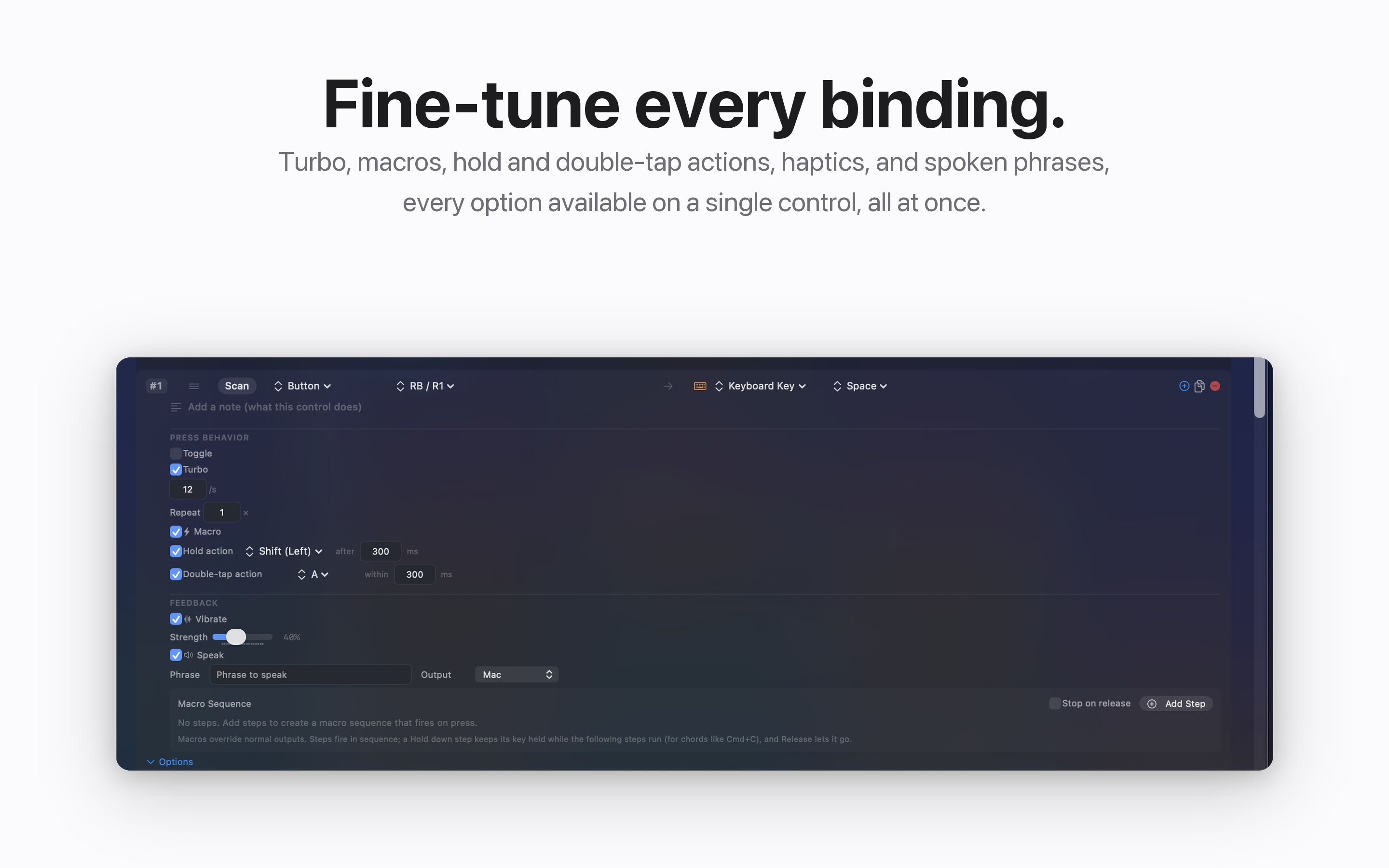 The InputConfig binding options panel with turbo, macros, hold actions, double-tap, haptics, and speech settings.